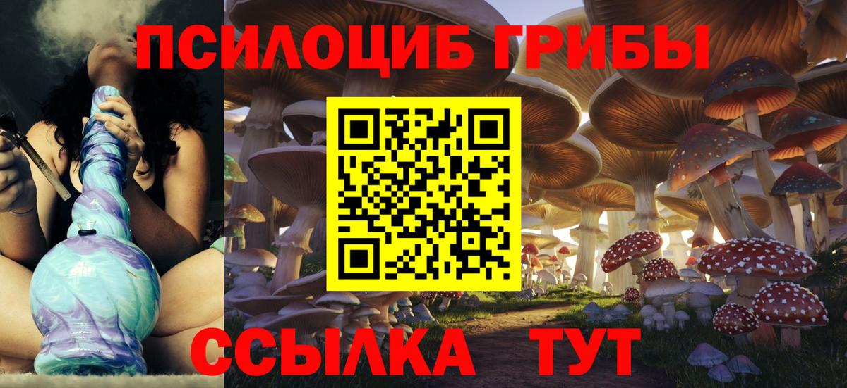 Галлюциногенные грибы мицелий Саки