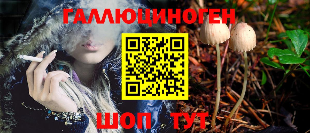 Псилоцибиновые грибы мицелий  купить наркоту  Саки  Вход с VPN 